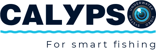 Calypso сервисный центр